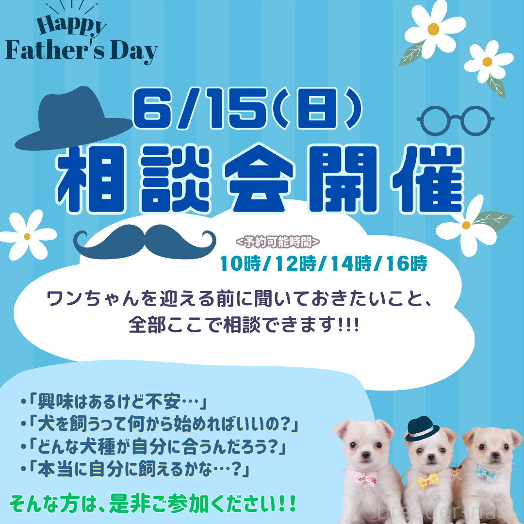 杉山晴菜ブリーダー